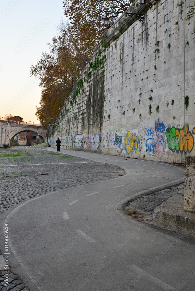 Rome, Italy - Cityscape from Lungotevere and Tiber Island