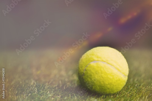 Close up of tennis ball on the grass © vectorfusionart