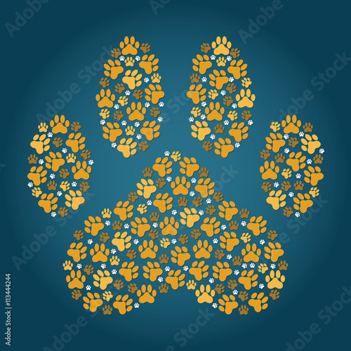 paw prints