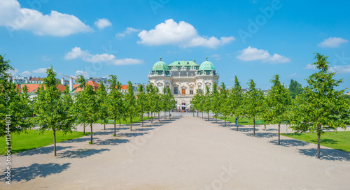 Photography Trees along a graveled path in a palace garden