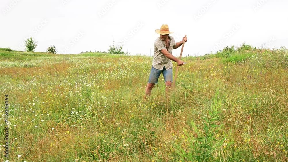 Farmer mows grass for cattle feed. Portrait of a farmer. Farmer mows grass for cattle feed. Portrait of a farmer.