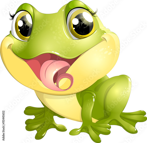 beautiful frog with big eyes