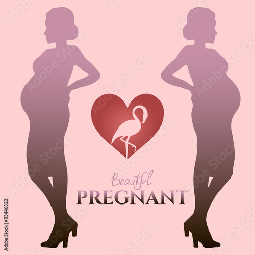 Beautiful pregnant, vector image with silhouette pregnant and flamingo