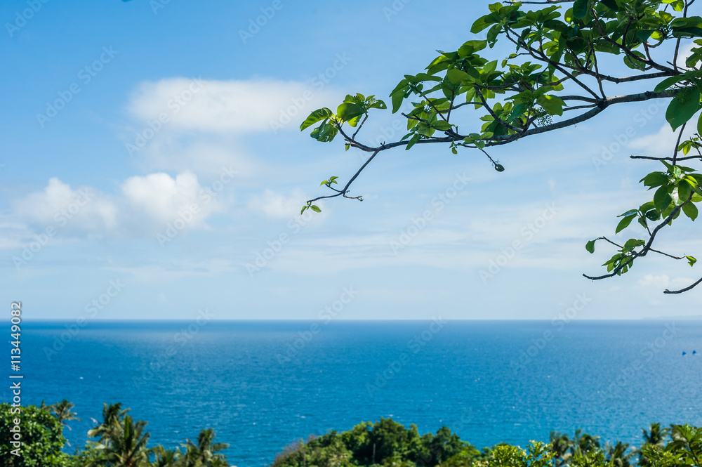 A view of Boracay island with species A view of Boracay island with species