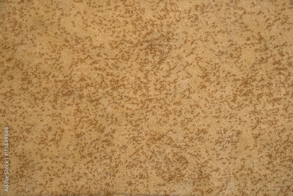 Carpet texture Carpet texture