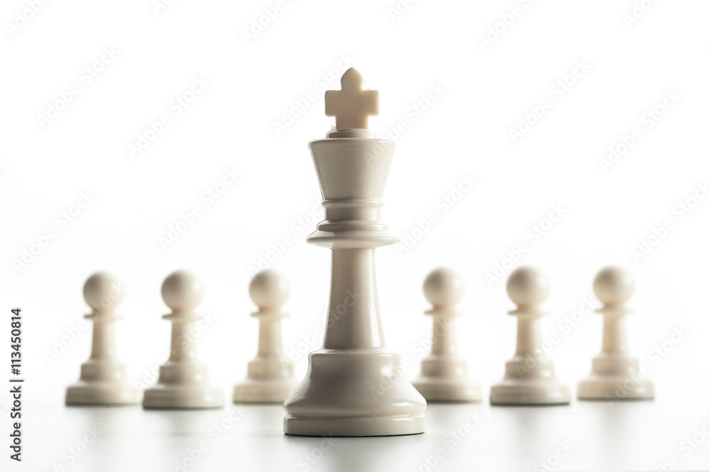 Chess figure isolated on the white background Chess figure isolated on the white background