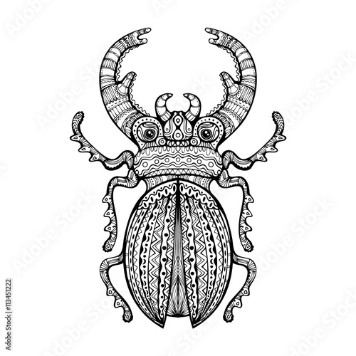 Ornate Giant Stag Beetle