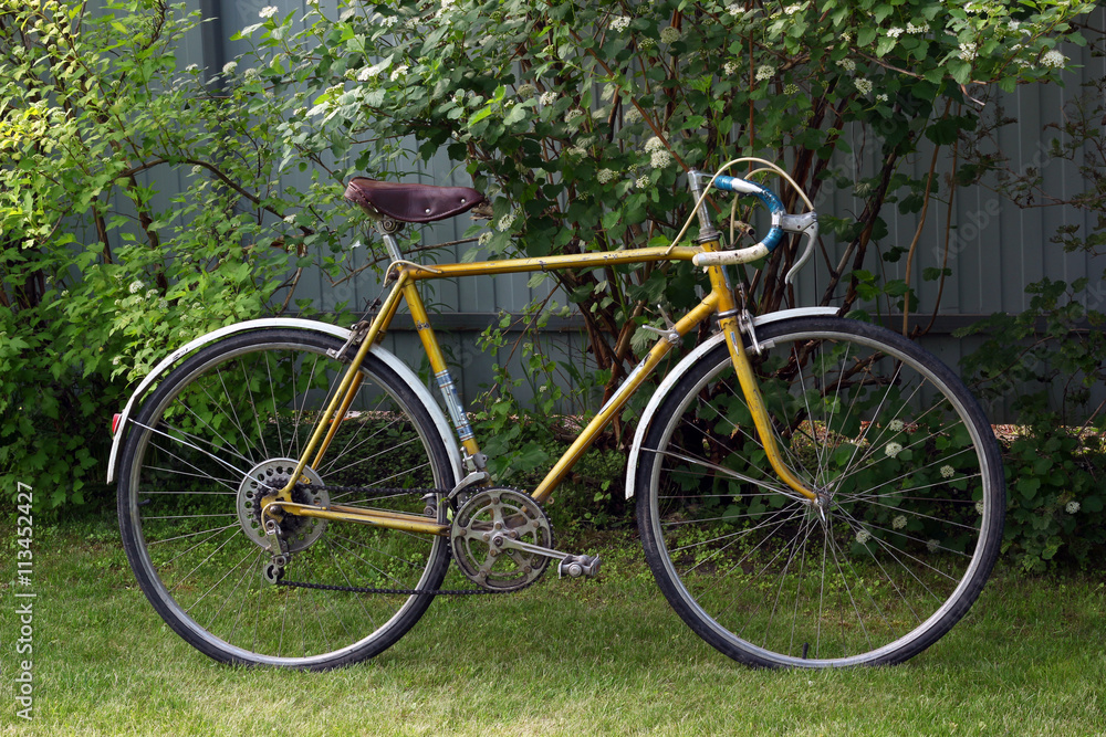 Old vintage bike. Retro road bicycle in garden.