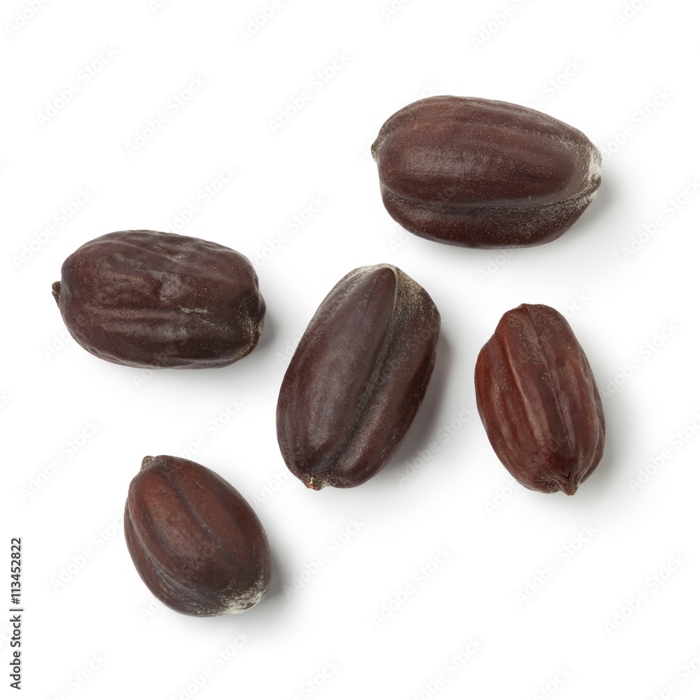 Fotografie Jojoba seeds