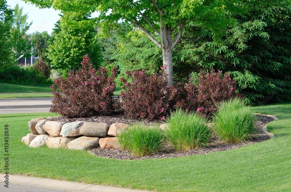 Landscaping with Weigela Shrubs and Rock Retaining Wall - obrazy, fototapety, plakaty 