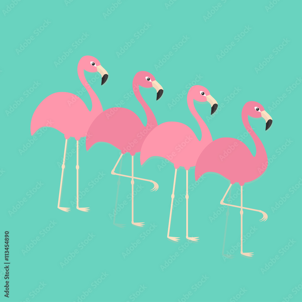 Obraz premium Pink flamingo set. Exotic tropical bird. Zoo animal collection. Cute cartoon character. Decoration element. Flat design. Blue background. Isolated.
