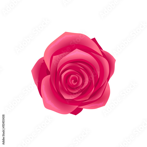 Beauty Flower Design Flat Isolated