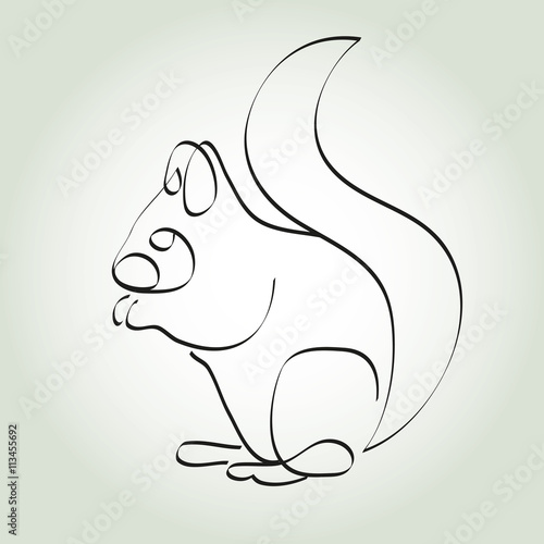 Squirrel in minimal line style vector