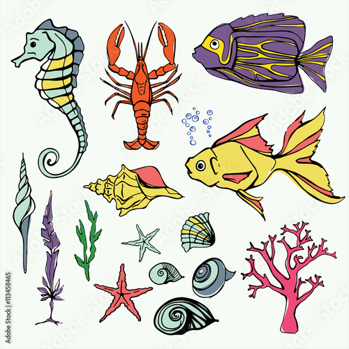 Underwater world Big Set Hand Drawn Vector Illustration With Fish Cancer Seahorse Coral Shells Alga