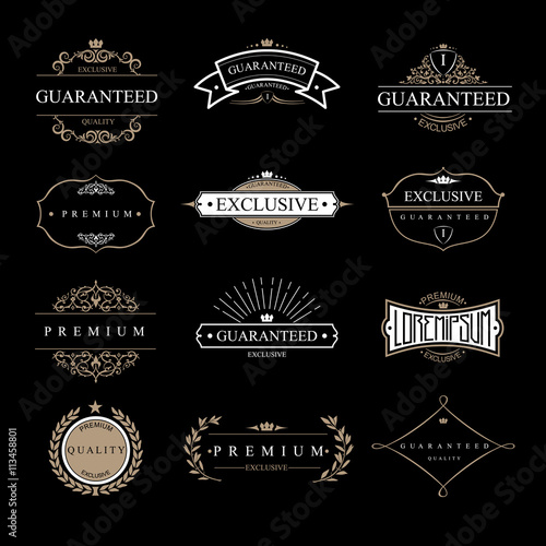 Set of templates and blanks for classic vintage logo on black background