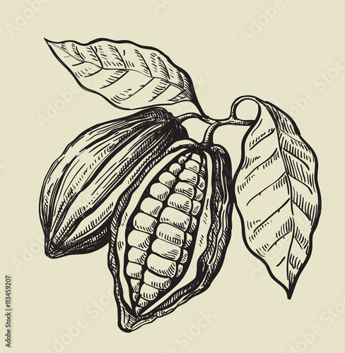 black cacao beans