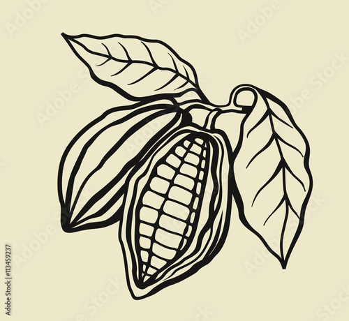 black cacao beans