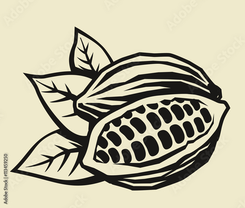 black cacao beans