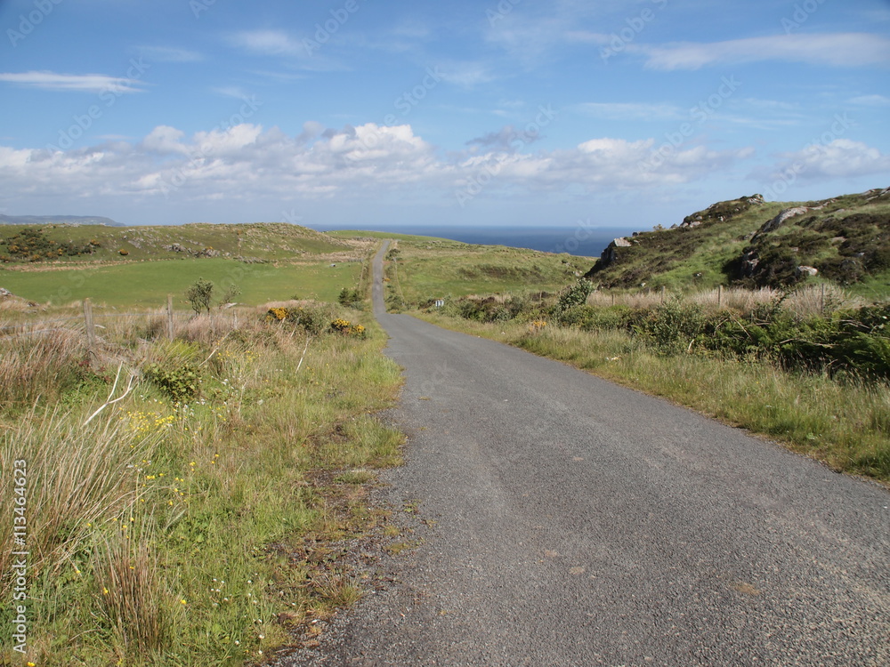 Route côtière de la Chaussée des Géants . Irlande du Nord.