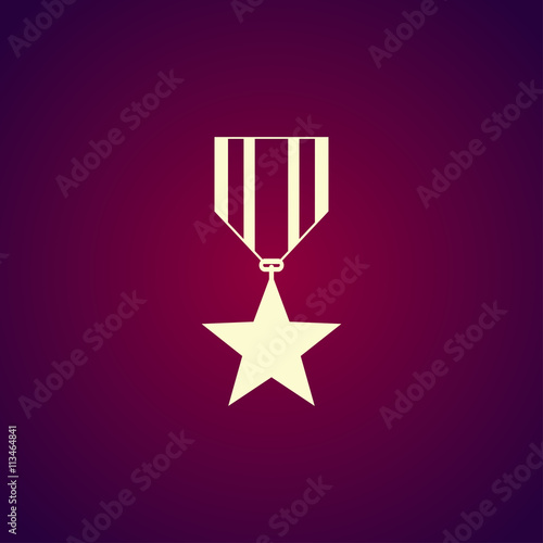 medal icon. Flat design style