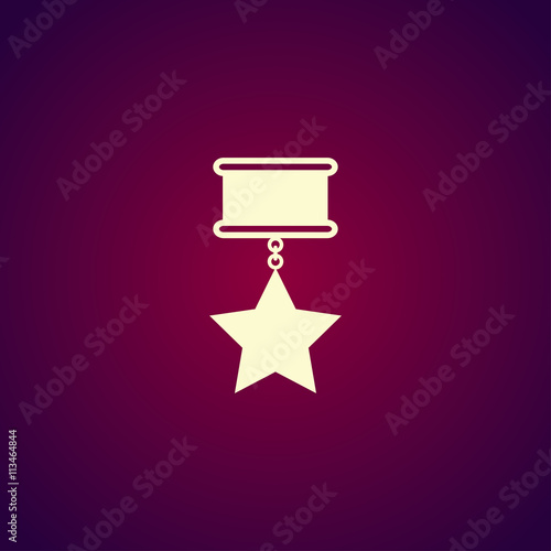 medal icon. Flat design style