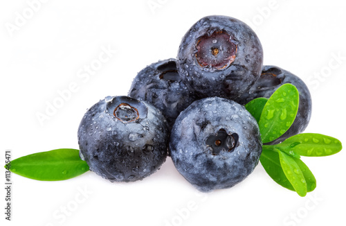 Blueberry on white, organic berry with leaves.