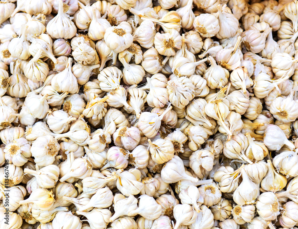 Garlic. Background and texture Garlic. Background and texture