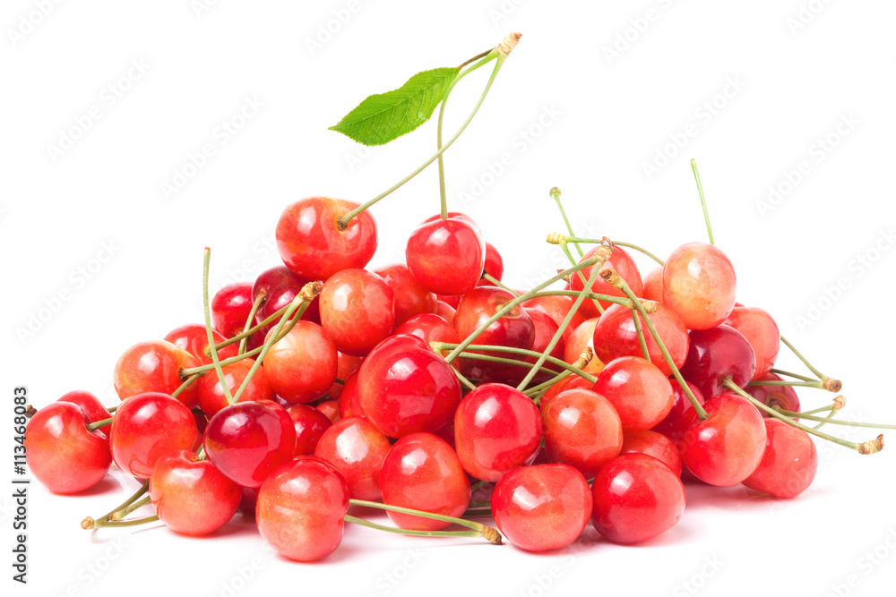 pink cherries isolated on white background pink cherries isolated on white background