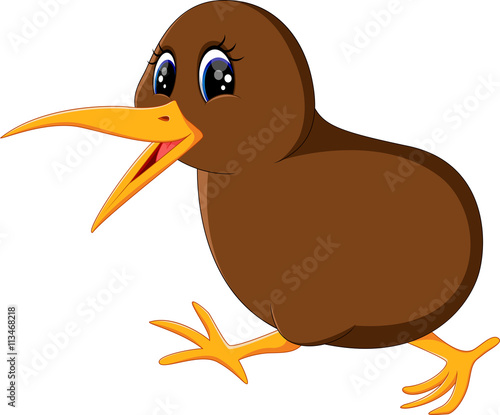 Illustration of a close up kiwi bird