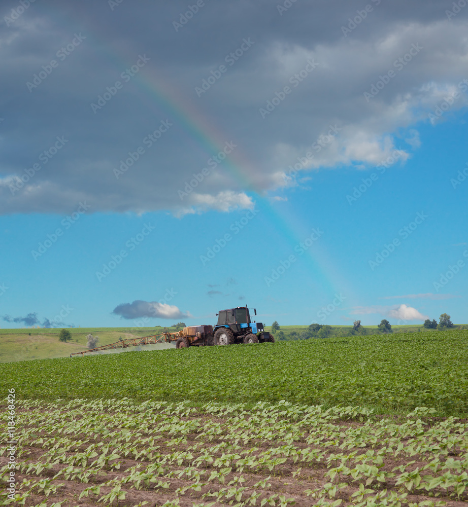 Fototapeta premium Spraying the field