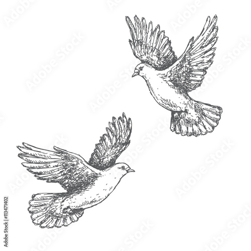 Hand Drawn Sketch of Flying Doves