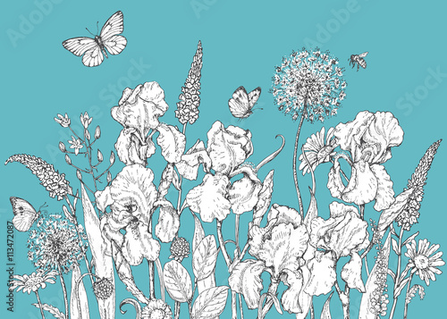 Iris, wild  flowers and insects sketch