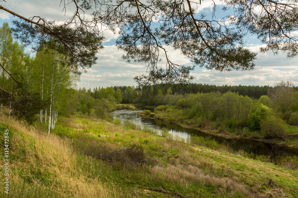 Spring landscape with bright trees. Mai, Pskov region, Russia Spring landscape with bright trees. Mai, Pskov region, Russia