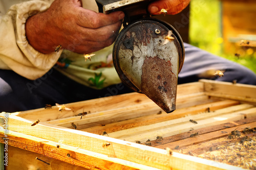 Smoker beekeepers tool to keep bees away from hive