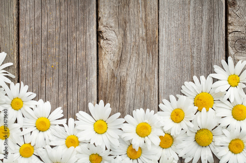 Fototapeta Naklejka Na Ścianę i Meble -  Daisy chamomile flowers on wood