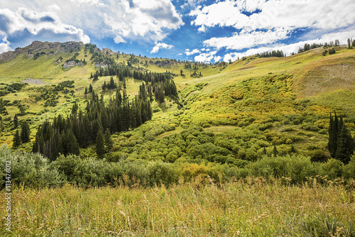 Albion Basin landscape scenery with alpine meadows photographed during summer. photo