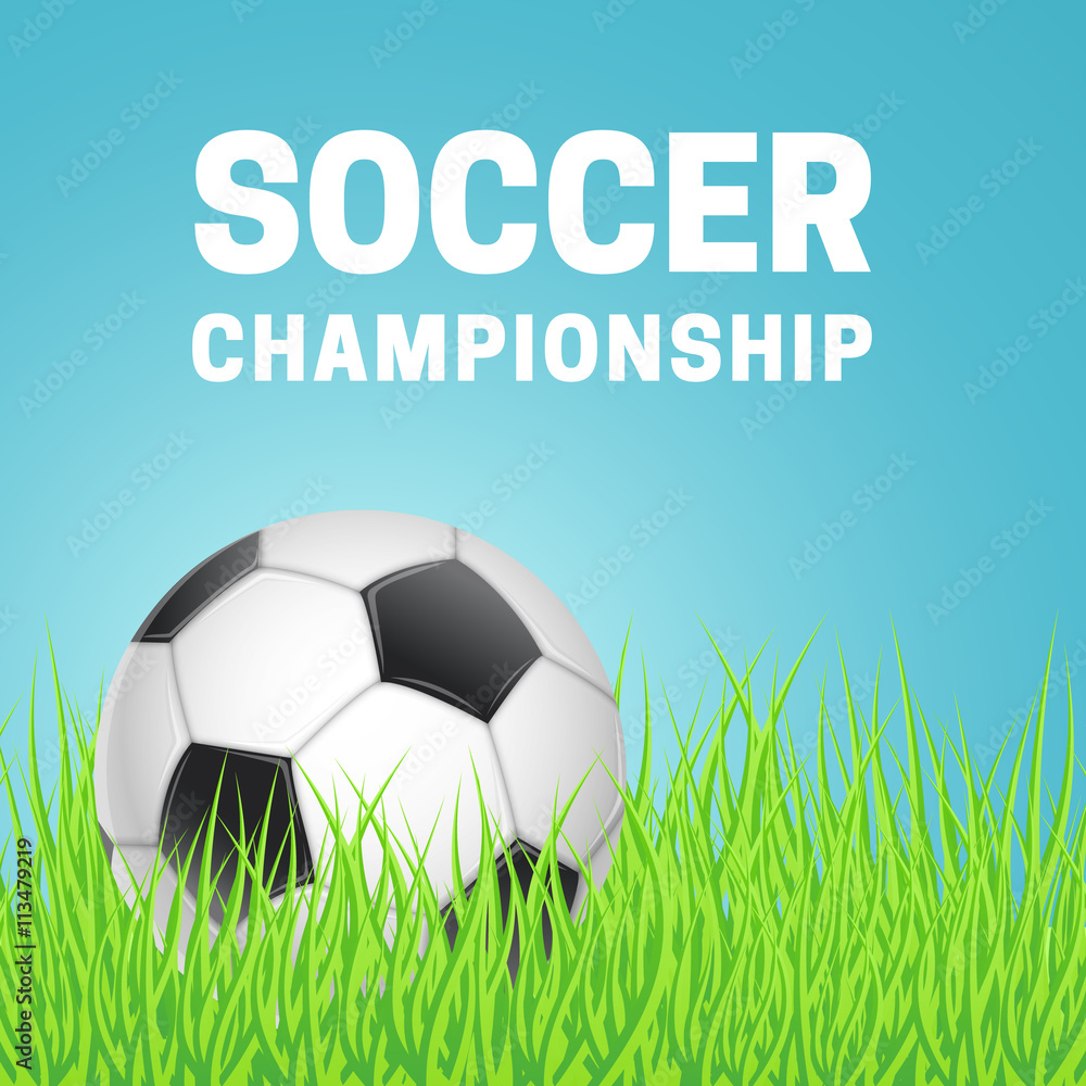 Obraz premium Football in green grass.