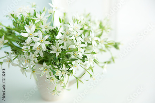 Bouquet of little white flowers on light background