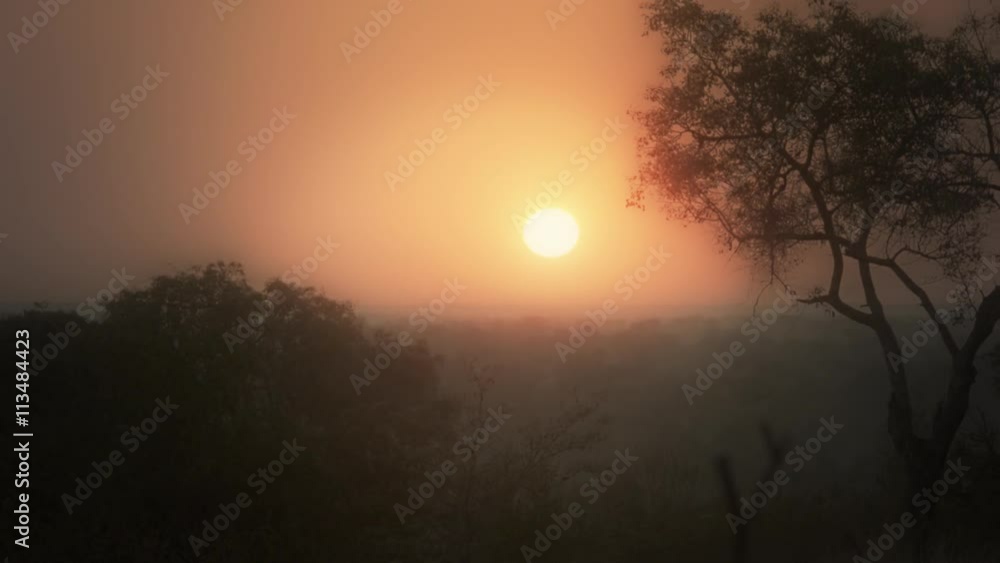 Warm Sunrise glow, early morning in winter, trees & landscape, moving camera, South Africa (graded) Warm Sunrise glow, early morning in winter, trees & landscape, moving camera, South Africa (graded)