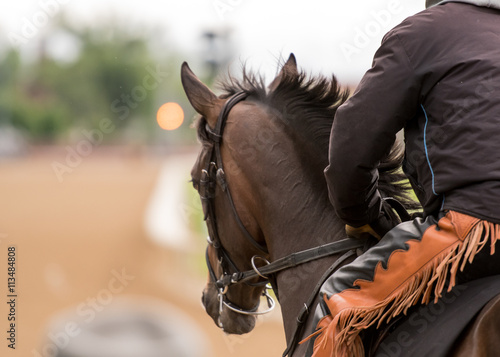 Brown Horse with Orange Jockey Pants