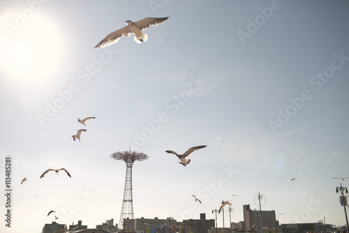Birds flying against sky in Coney Island on sunny day photo