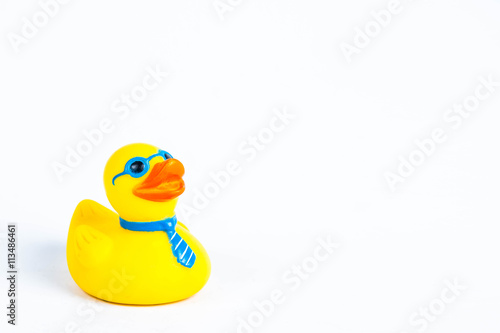 bath duck om white background,duck toy,Cute yellow rubber duck 