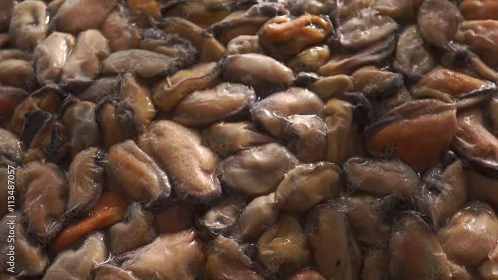 Vacuum packed frozen mussels. Moving highlights close up shot Vacuum packed frozen mussels. Moving highlights close up shot