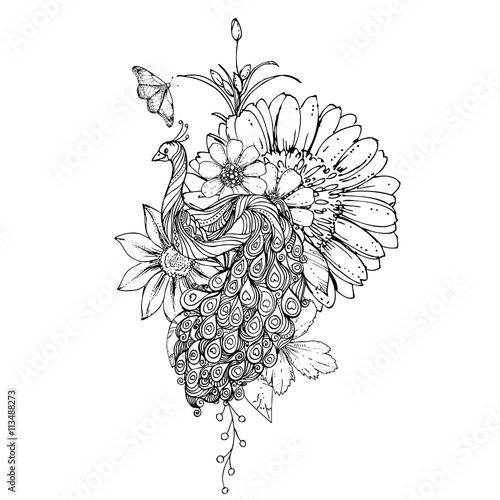 hand drawn ink doodle peacock and flowers on white background. Coloring page - zendala, design for adults, poster, print, t-shirt, invitation, banners, flyers.