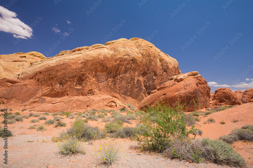 Beautiful cinematic deserted nature view under the blue cloudless sky in the American West Beautiful cinematic deserted nature view under the blue cloudless sky in the American West
