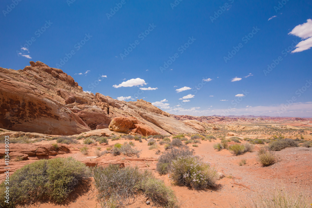 Fototapeta premium Beautiful cinematic deserted nature view under the blue cloudless sky in the American West