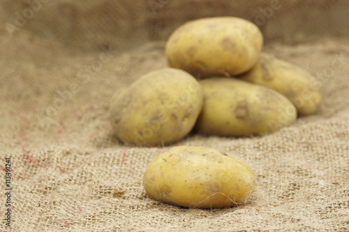 Close up of Potatoes