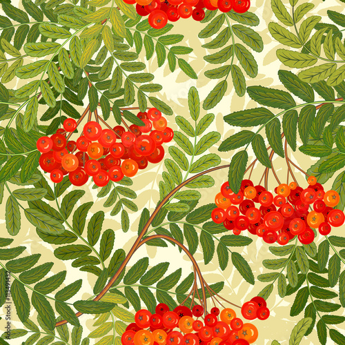 Vector seamless pattern. Rowanberries background.