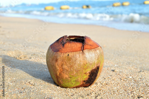 Coconut on tropical island beach