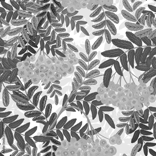 Billede på lærred Seamless pattern with leaves and ash-berry rowanberry